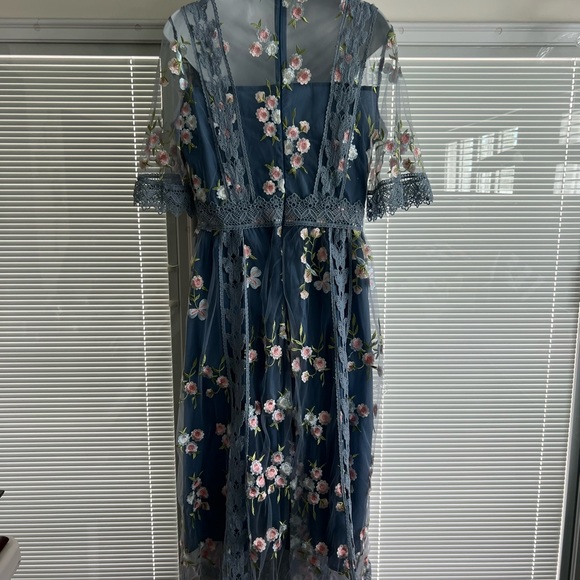 NWT GARDEN GLAMOUR EMBROIDERED CROCHET TRIM MESH DRESS size XXL - Picture 2 of 4